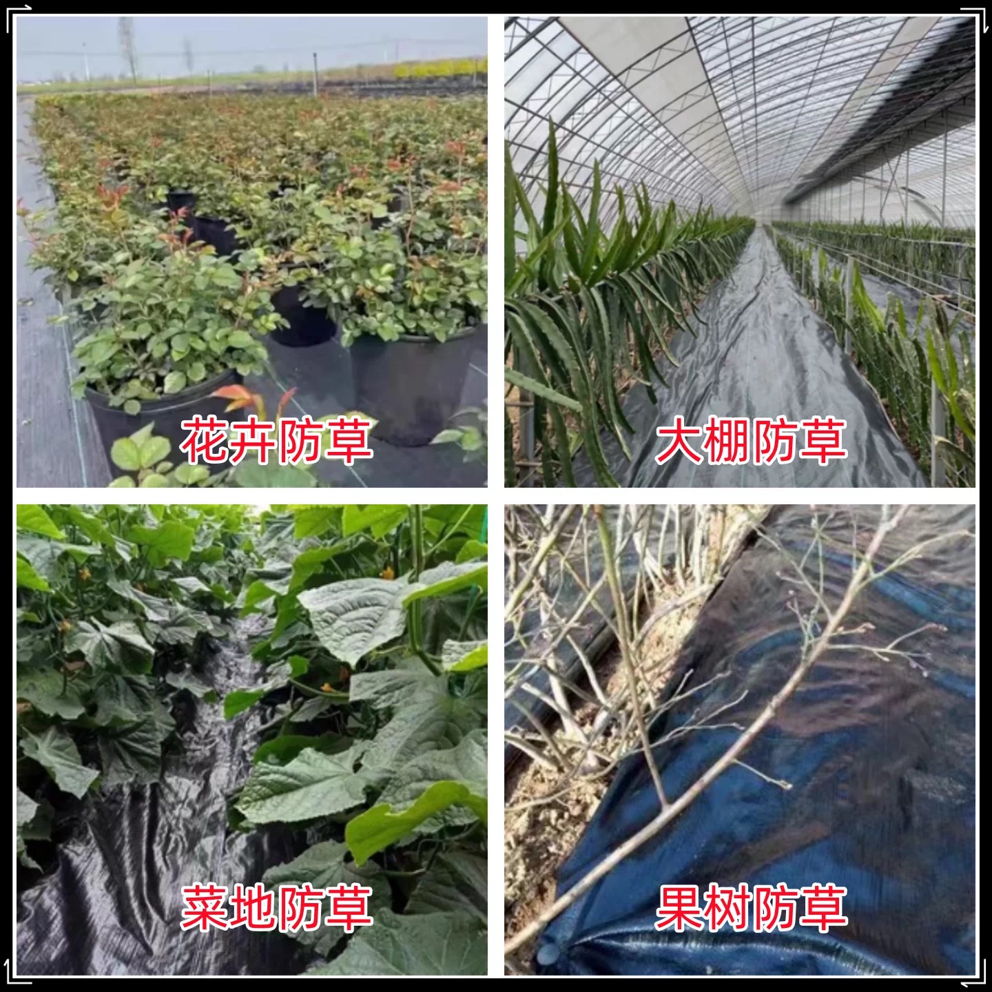 临沧市塑料薄膜防草布 - 方案
