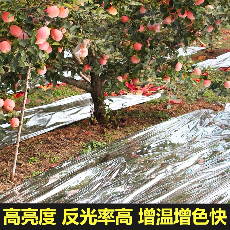 临沧市果树反光膜果树反光膜 - 一站式服务